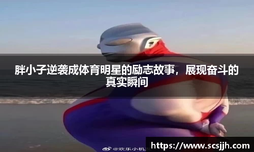 Bibo必博