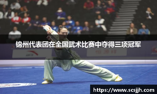 锦州代表团在全国武术比赛中夺得三项冠军