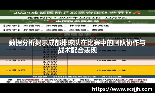 数据分析揭示成都排球队在比赛中的团队协作与战术配合表现