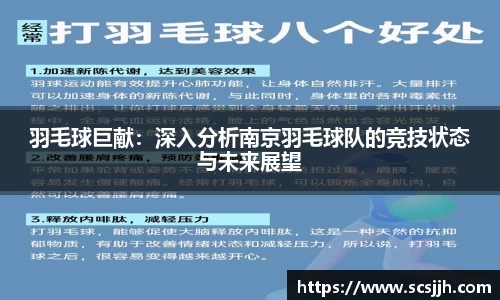 羽毛球巨献：深入分析南京羽毛球队的竞技状态与未来展望