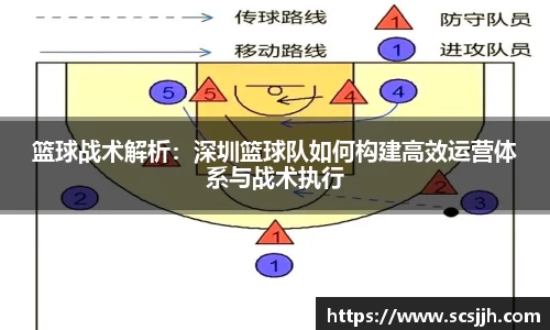 篮球战术解析：深圳篮球队如何构建高效运营体系与战术执行