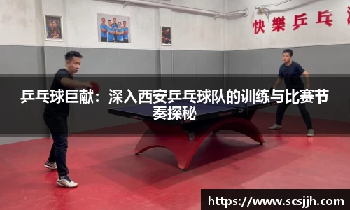 必博Bibo