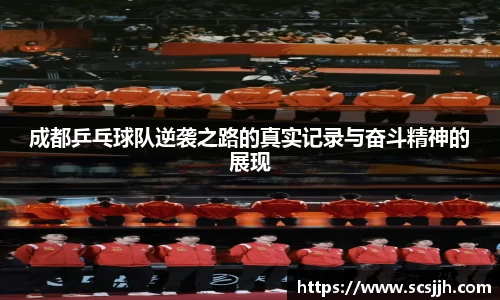 成都乒乓球队逆袭之路的真实记录与奋斗精神的展现