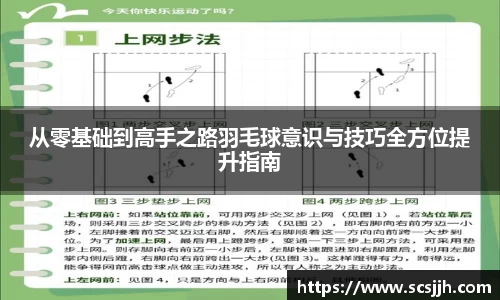从零基础到高手之路羽毛球意识与技巧全方位提升指南