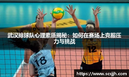 武汉排球队心理素质揭秘：如何在赛场上克服压力与挑战