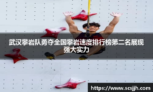 Bibo必博